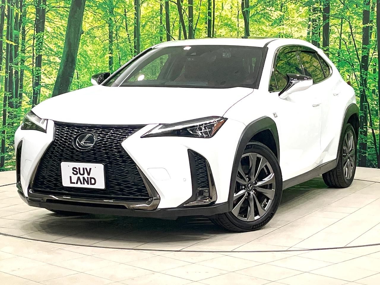 2018 Lexus UX UX200 F Sport