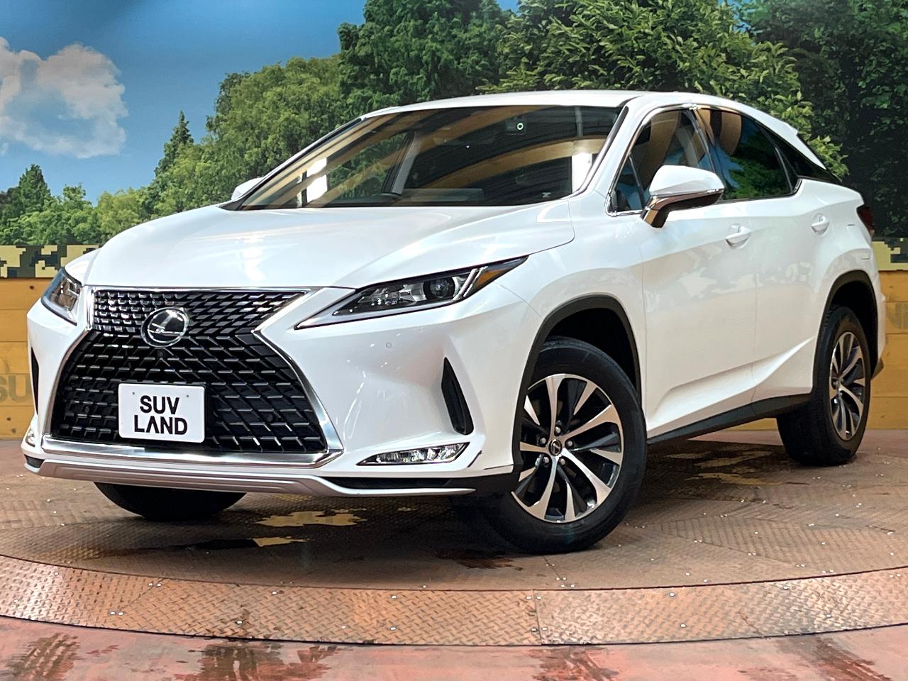 2022 Lexus RX RX300
