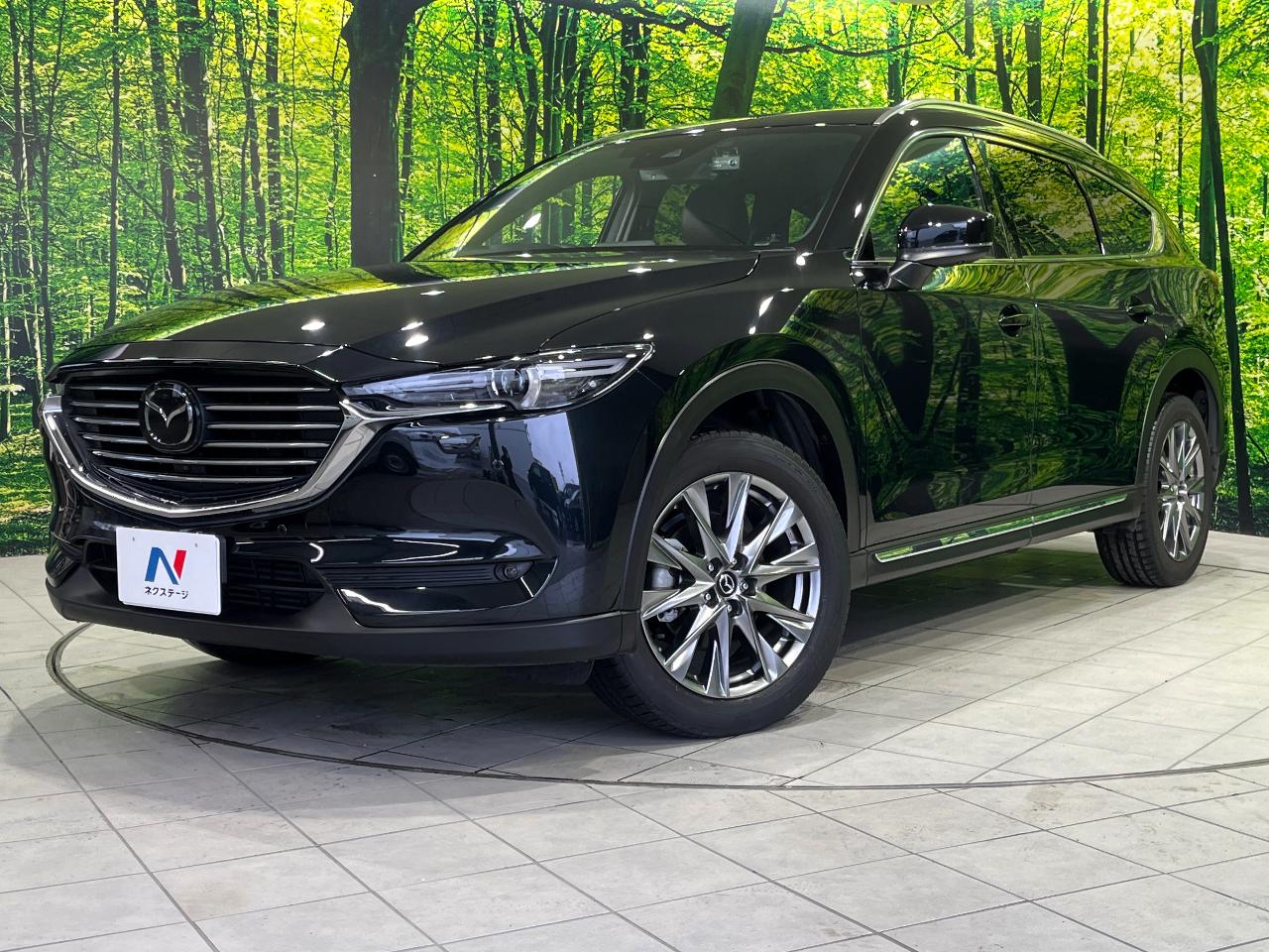 2019 Mazda CX-8 25T L Package