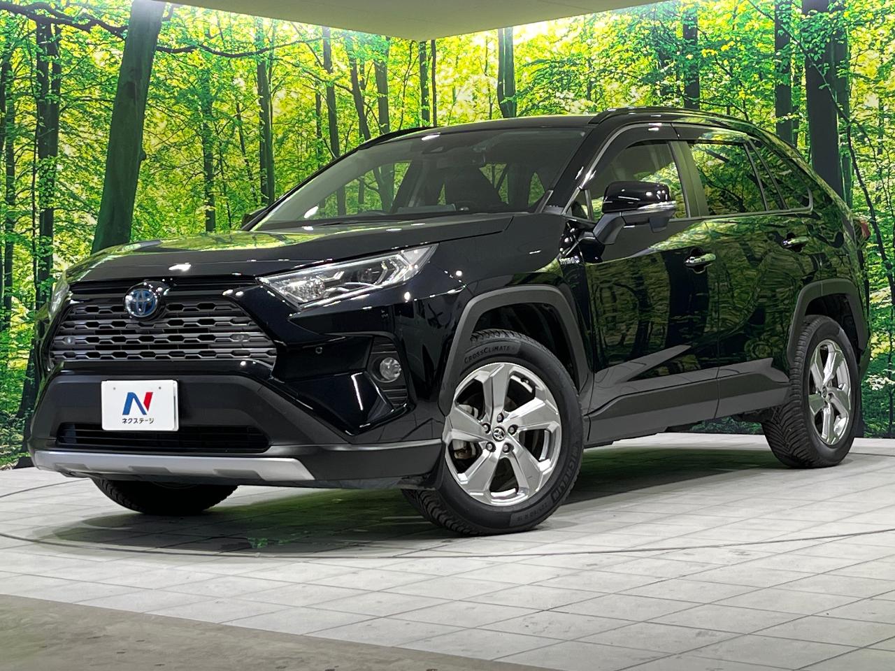 2020 Toyota RAV4 Hybrid Hybrid G