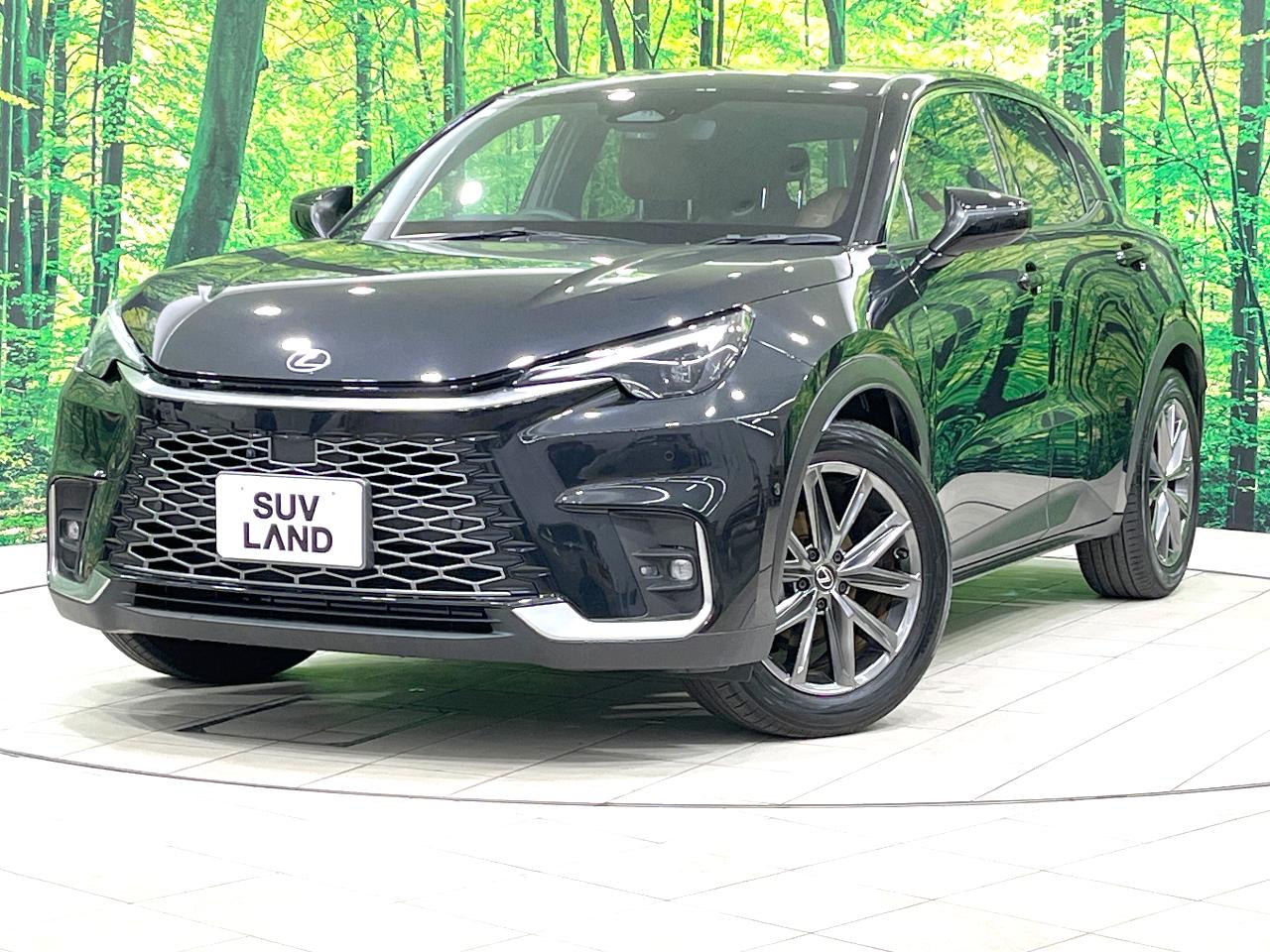 2024 Lexus LBX Hybrid Relax
