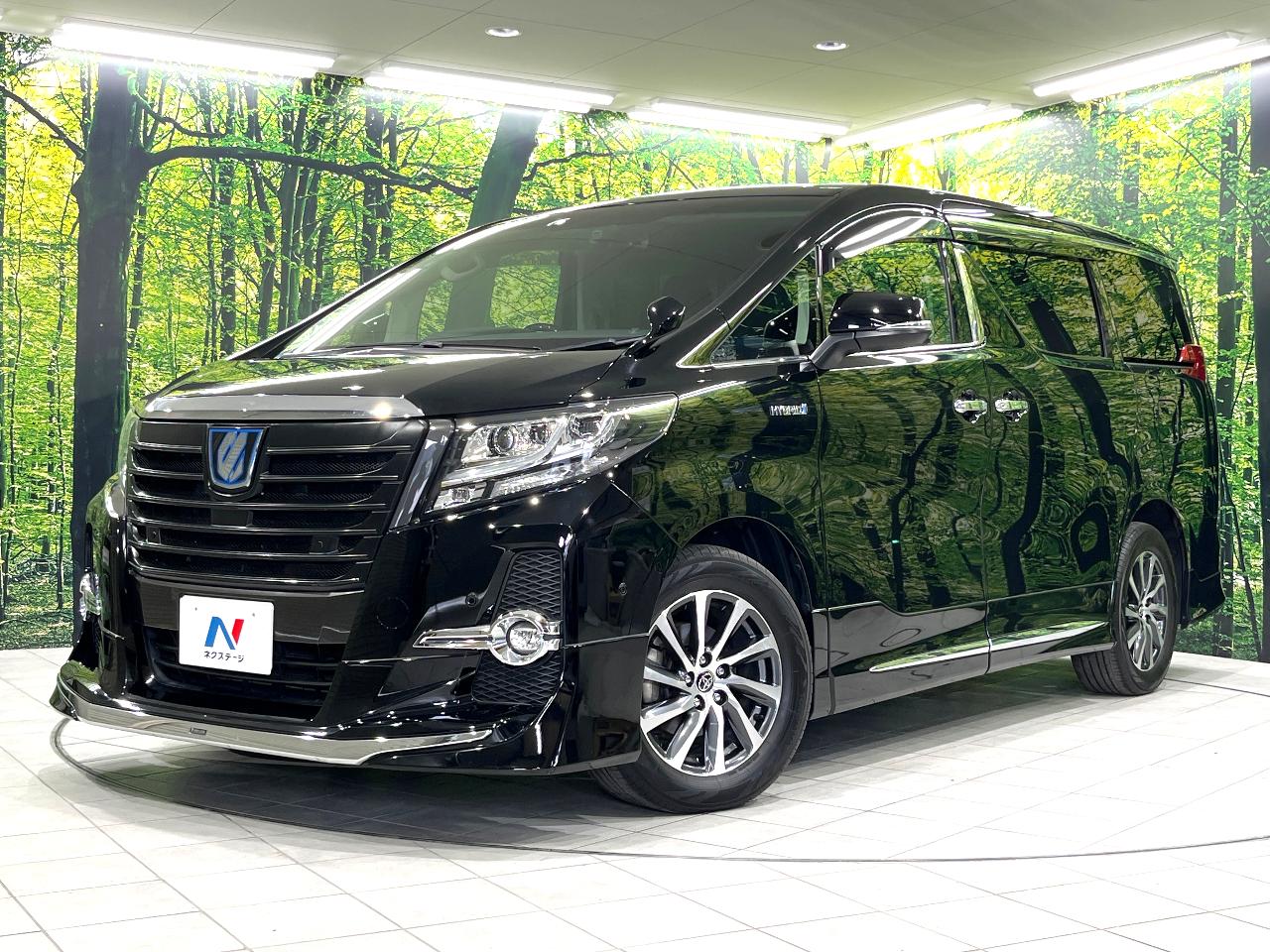 2016 Toyota Alphard Hybrid Hybrid SR C Package