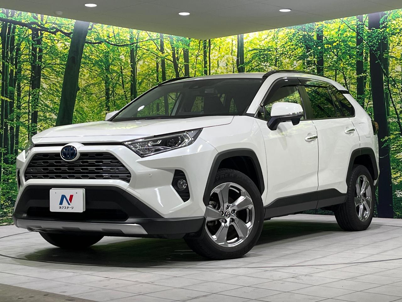 2020 Toyota RAV4 Hybrid Hybrid G