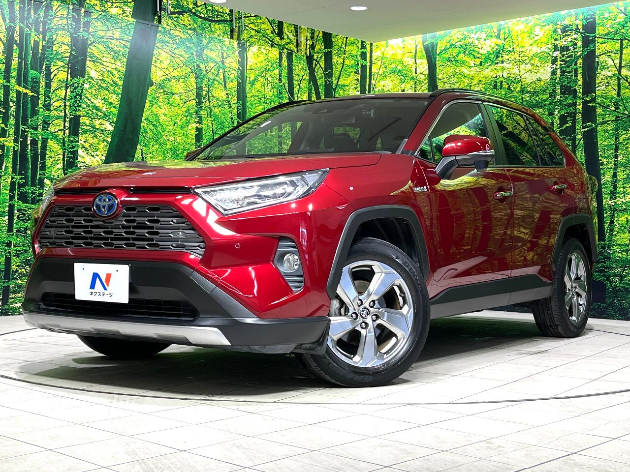 2019 Toyota RAV4 Hybrid Hybrid G