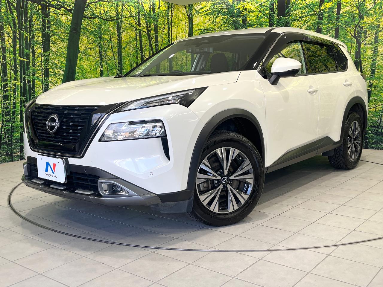 2022 Nissan X-Trail X e-4ORCE