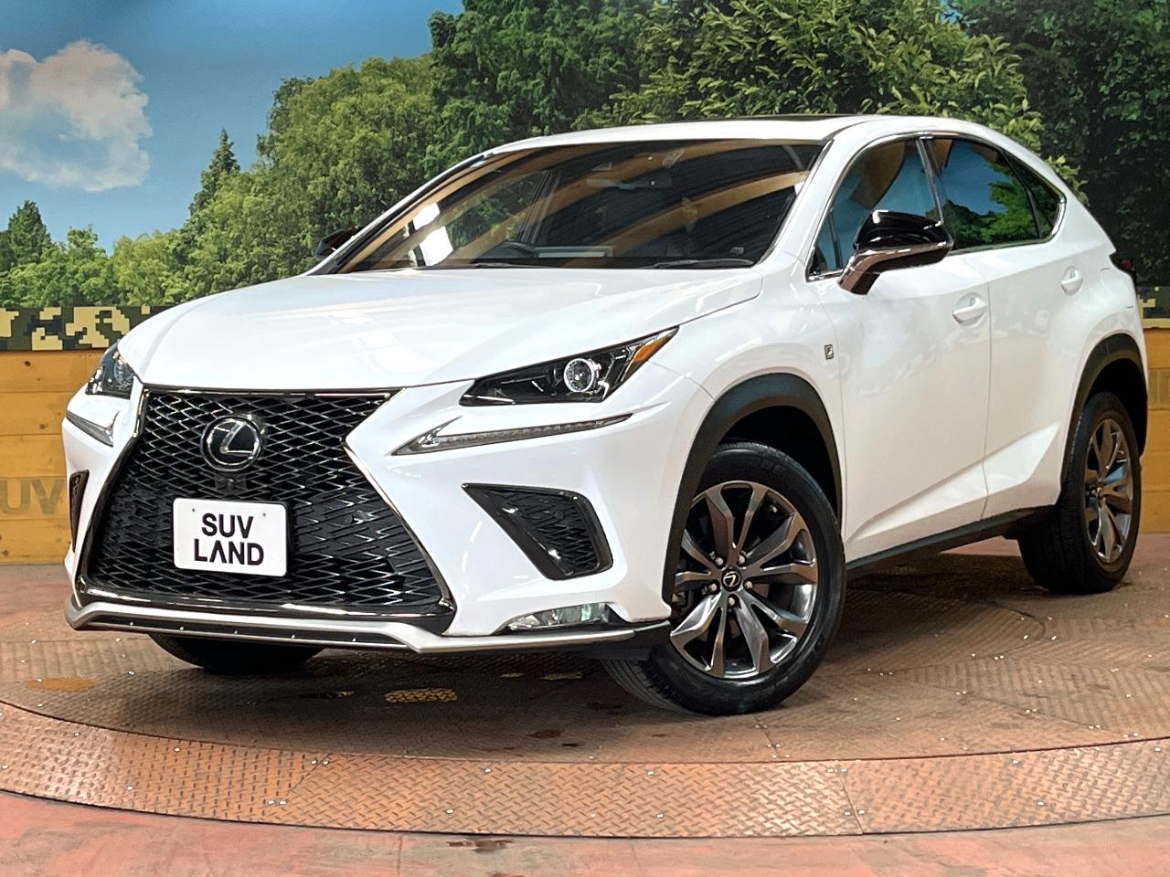 2019 Lexus NX NX300 F Sport
