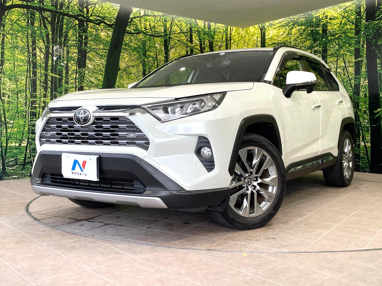 2020 Toyota RAV4 5D G Z Package