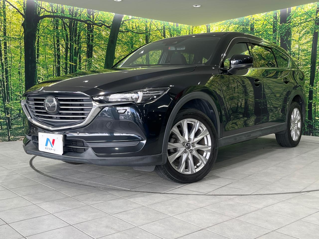 2018 Mazda CX-8 XD Proactive