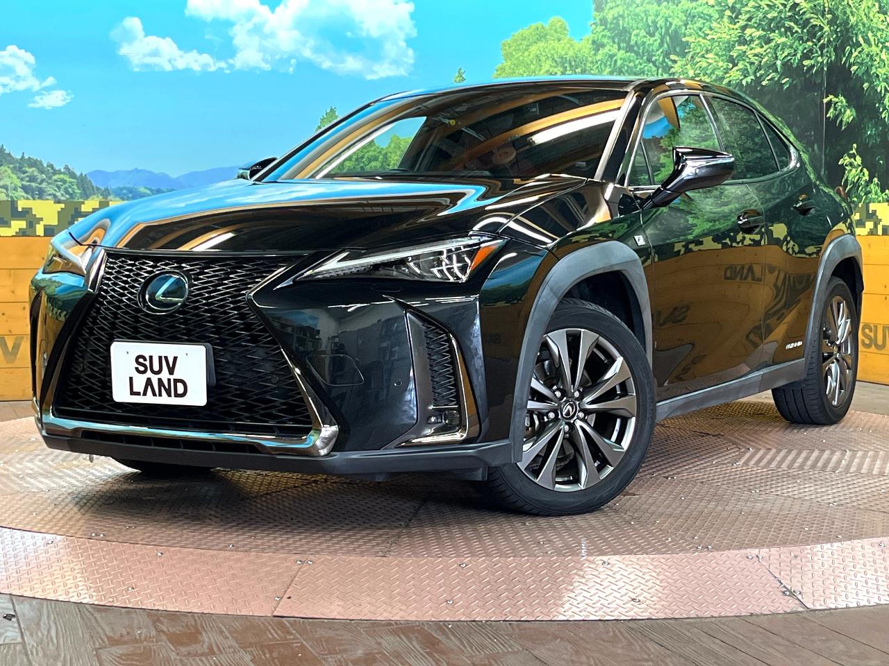 2019 Lexus UX Hybrid UX250h F SPORT