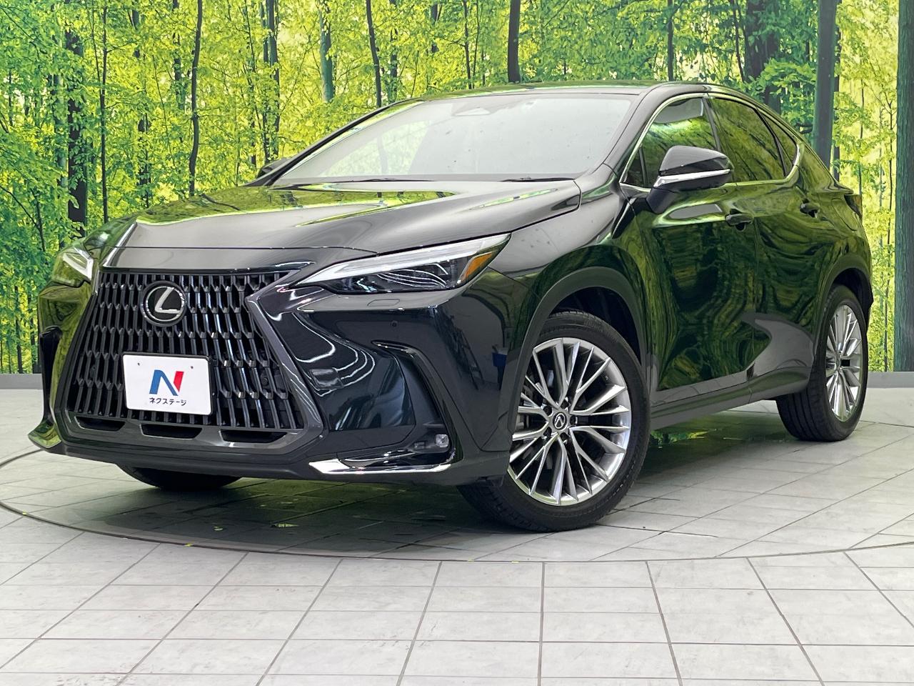 2022 Lexus NX Hybrid NX350h VERSION L