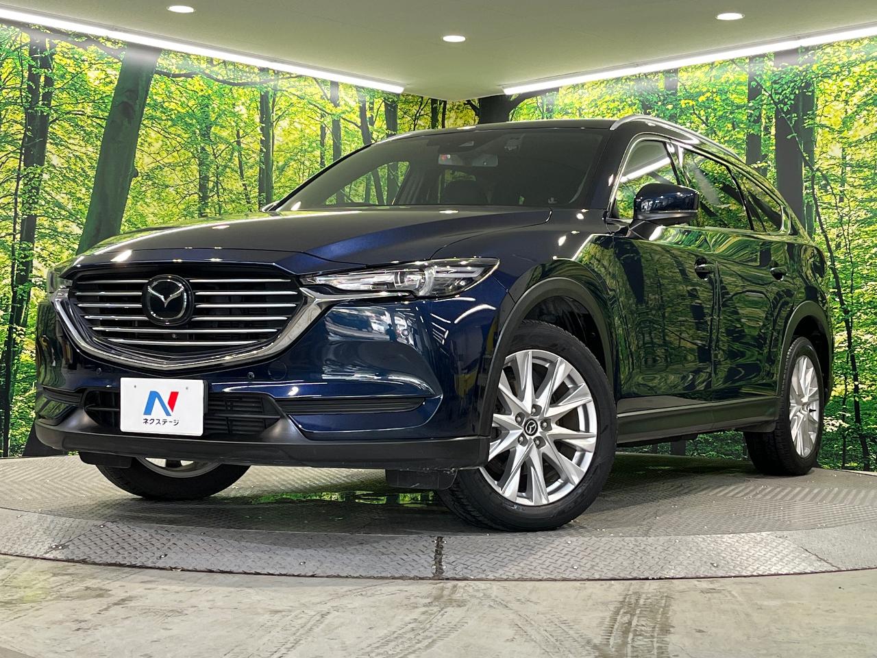 2018 Mazda CX-8 XD Proactive