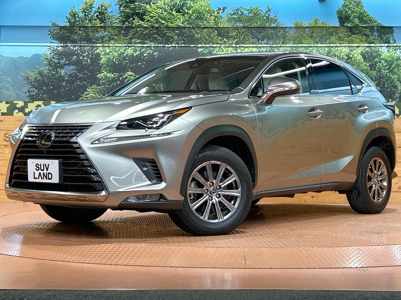 2018 Lexus NX NX300