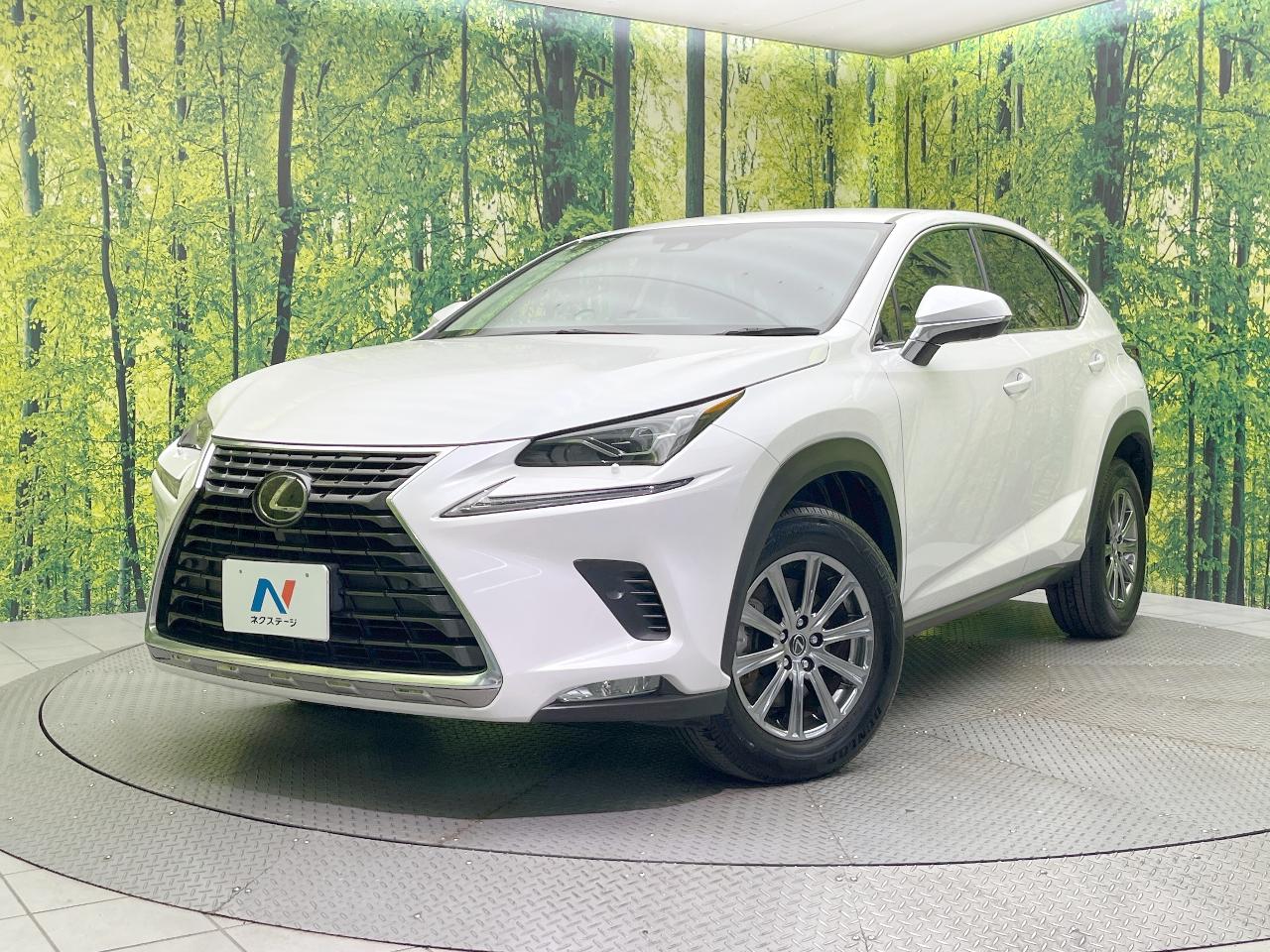 2019 Lexus NX NX300i Package
