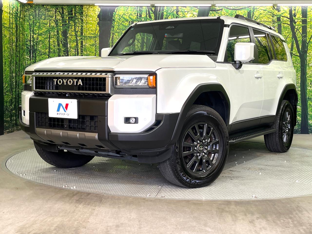 2024 Toyota LandCruiser 250 VX