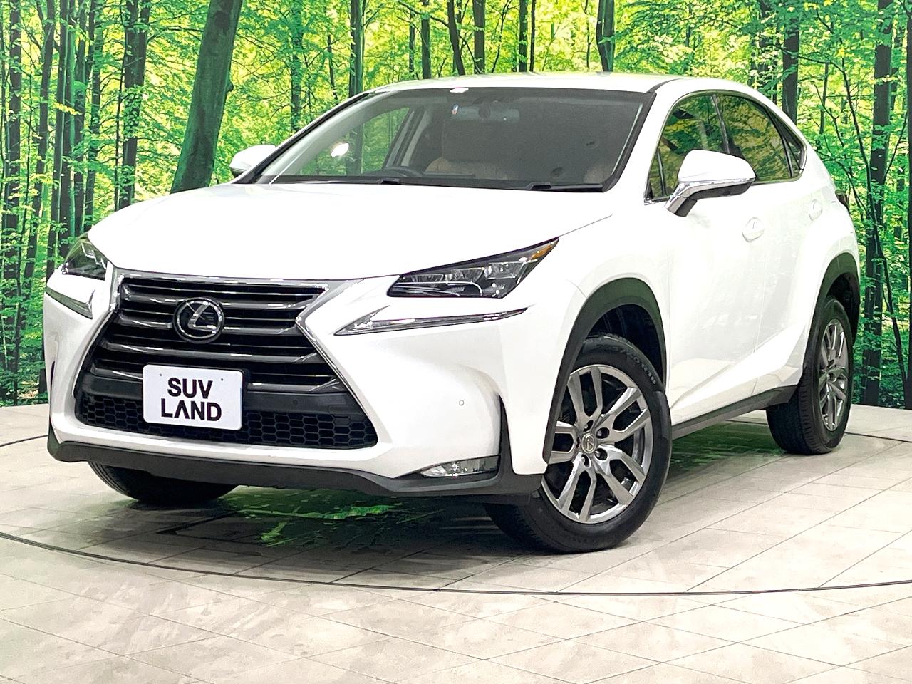 2014 Lexus NX NX200t I Package