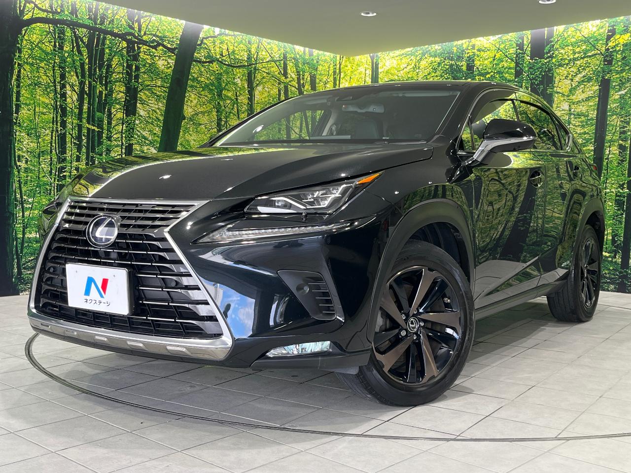 2018 Lexus NX Hybrid NX300h Version L