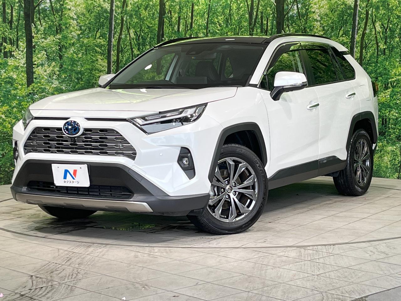 2023 Toyota RAV4 Hybrid Hybrid G