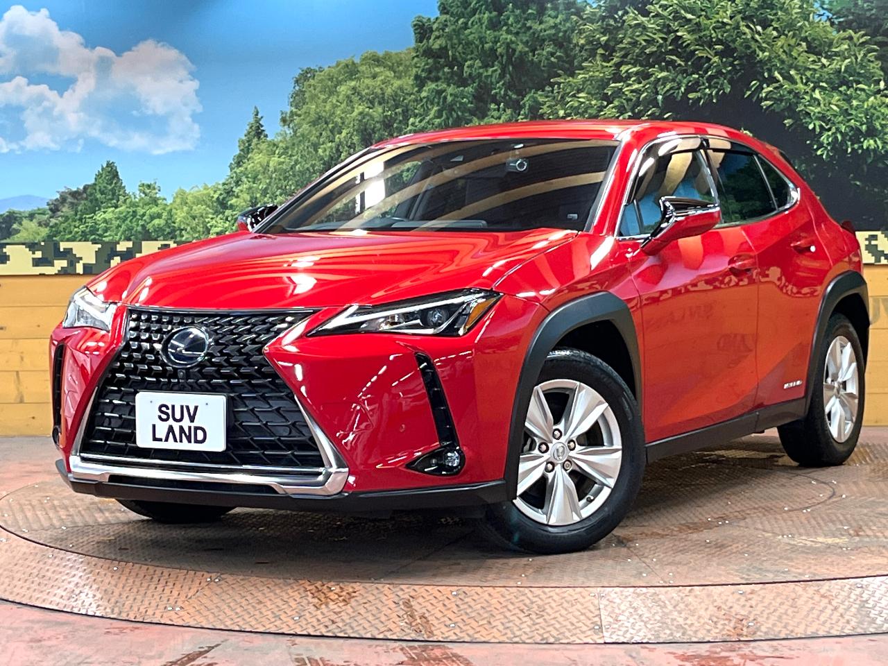 2019 Lexus UX Hybrid UX250h VERSION C