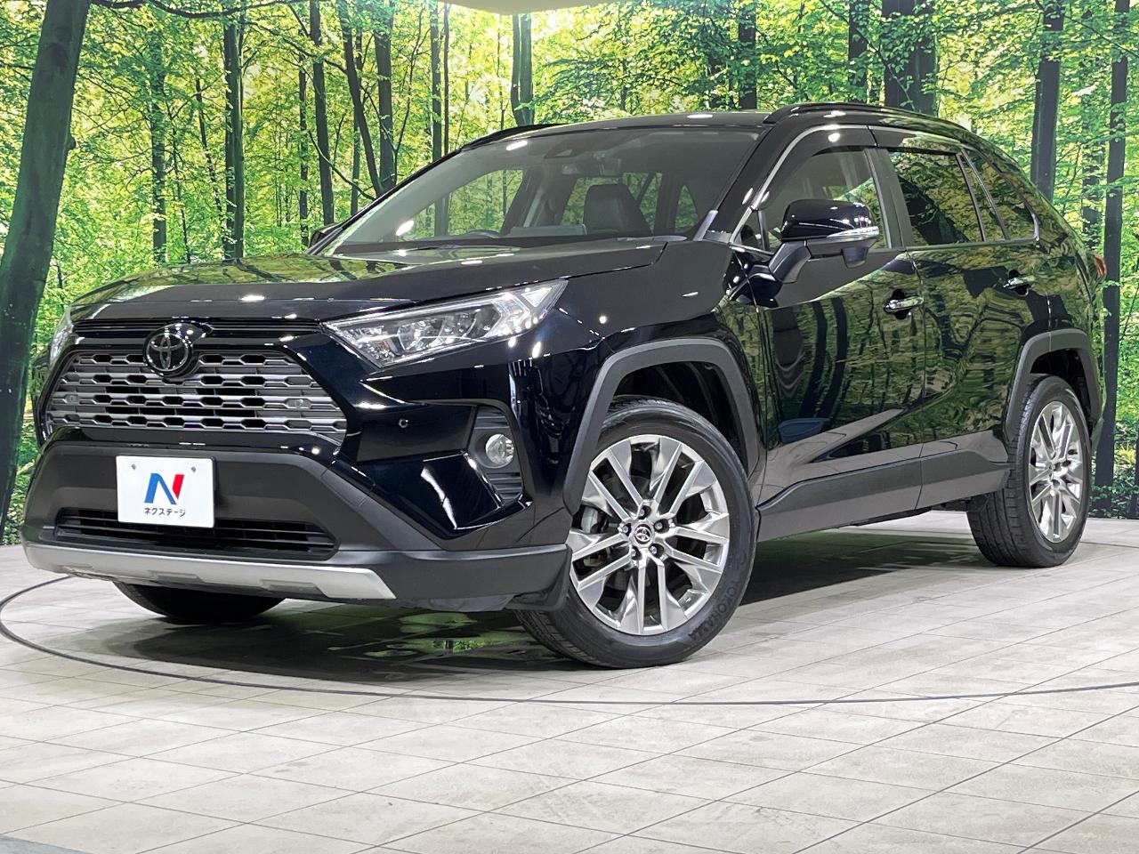 2020 Toyota RAV4 5D G Z Package