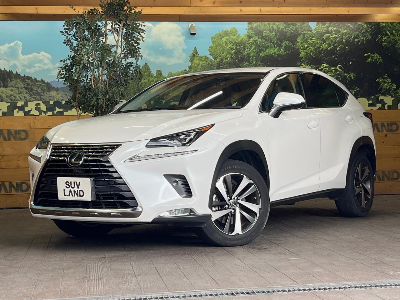 2019 Lexus NX NX300i Package