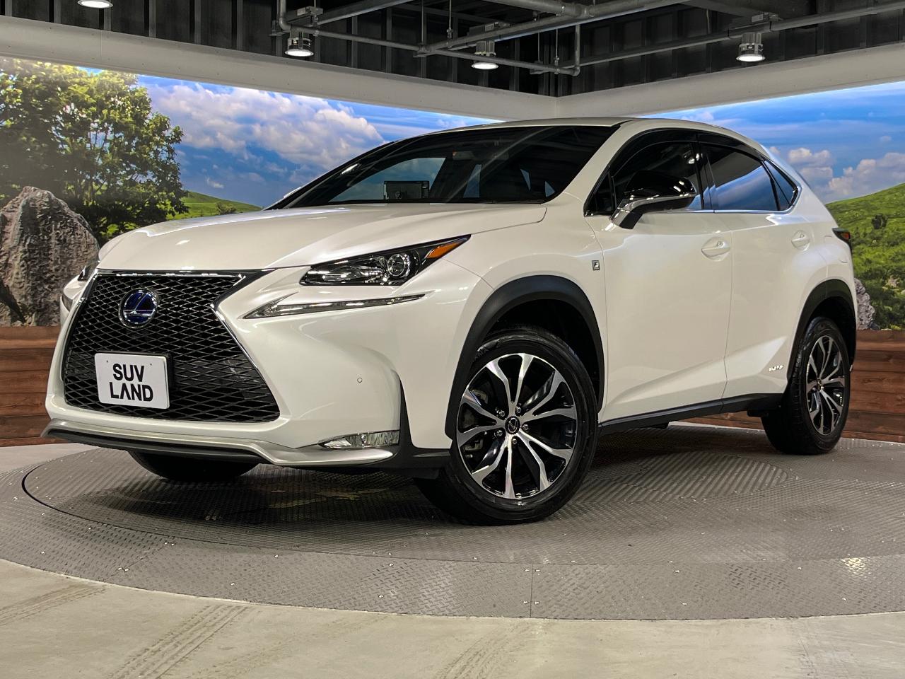 2014 Lexus NX Hybrid NX300h F SPORT