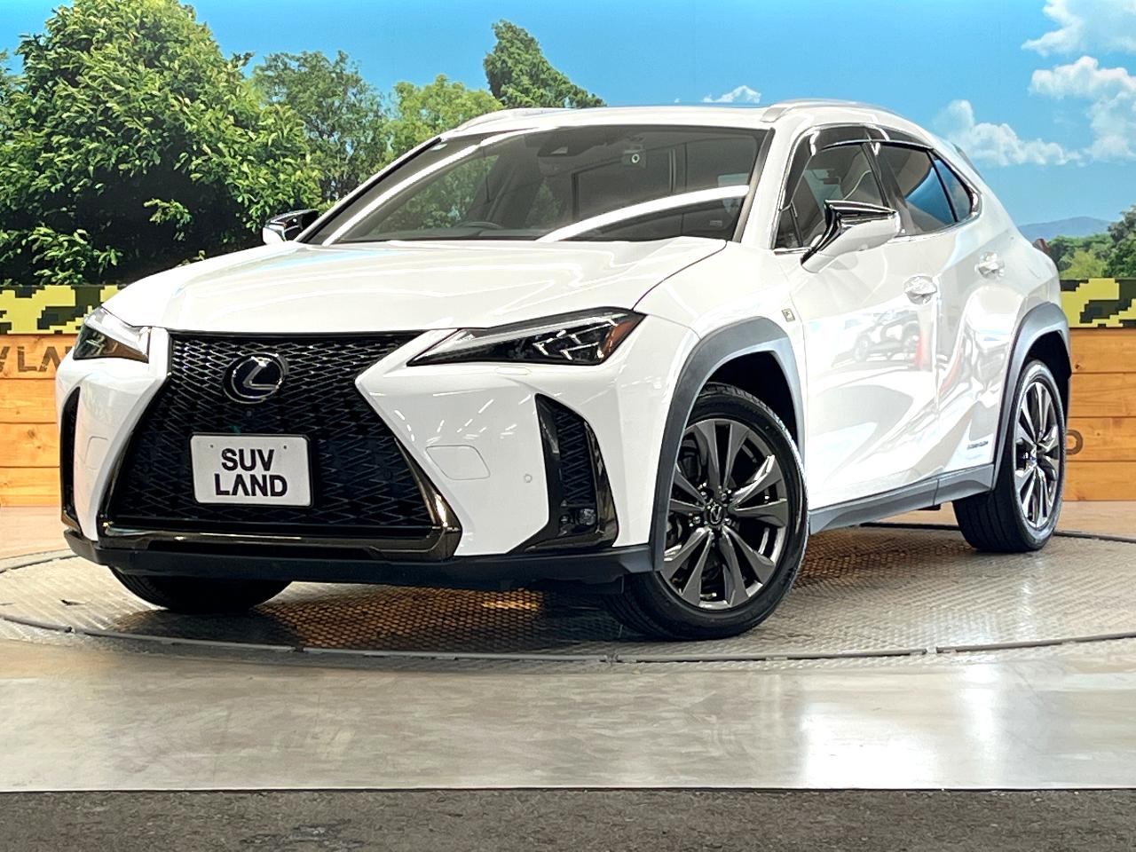 2021 Lexus UX Hybrid UX250h F SPORT