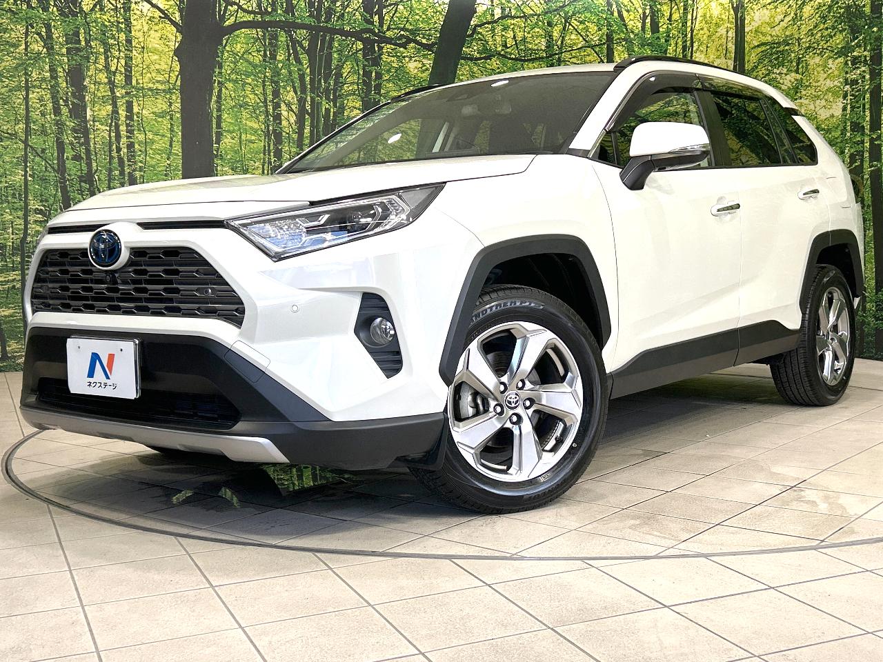 2020 Toyota RAV4 Hybrid Hybrid G