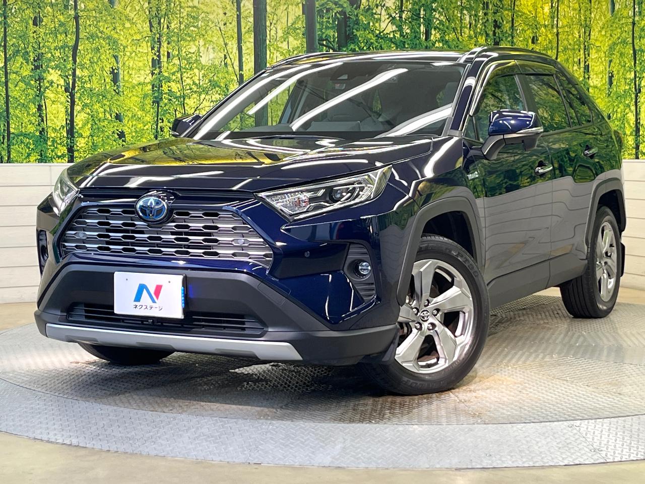 2019 Toyota RAV4 Hybrid Hybrid G