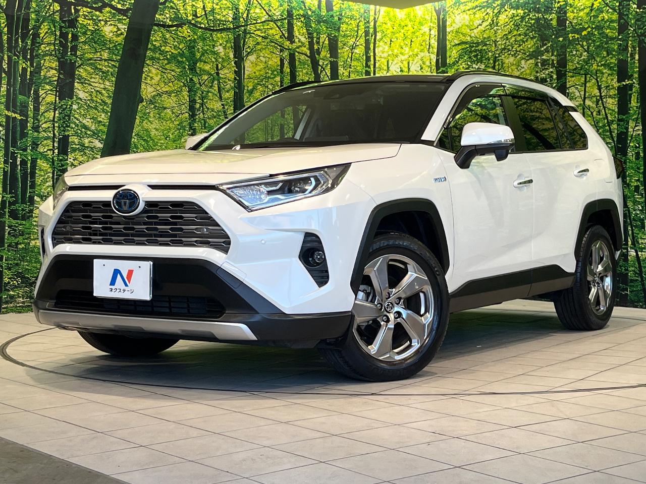 2019 Toyota RAV4 Hybrid Hybrid G