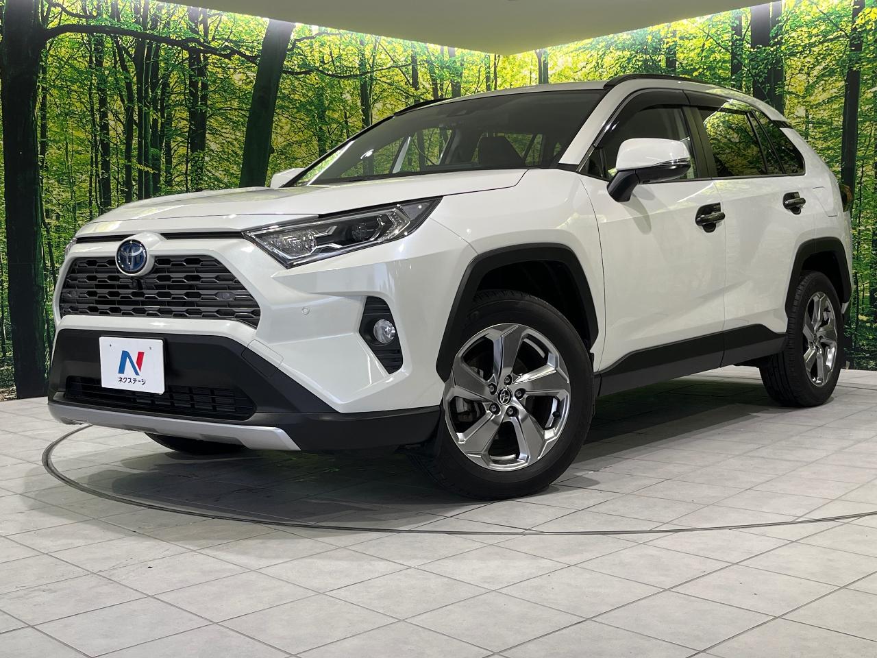 2021 Toyota RAV4 Hybrid Hybrid G