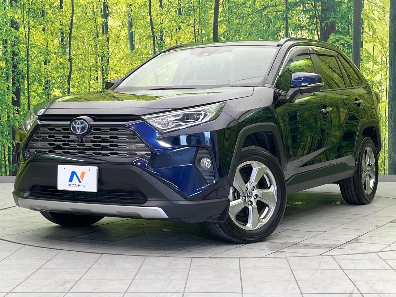 2021 Toyota RAV4 Hybrid Hybrid G