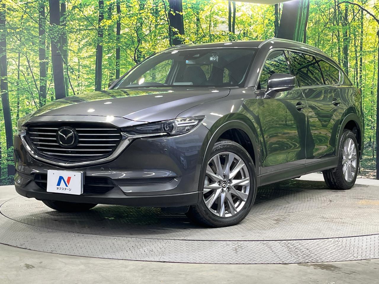 2019 Mazda CX-8 XD Proactive
