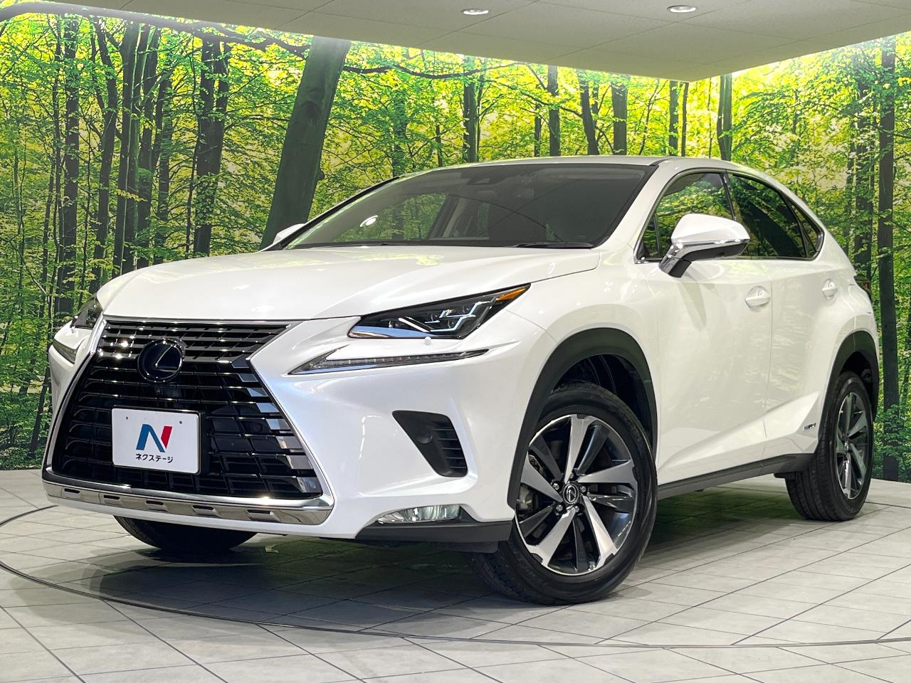 2020 Lexus NX Hybrid NX300h Version L