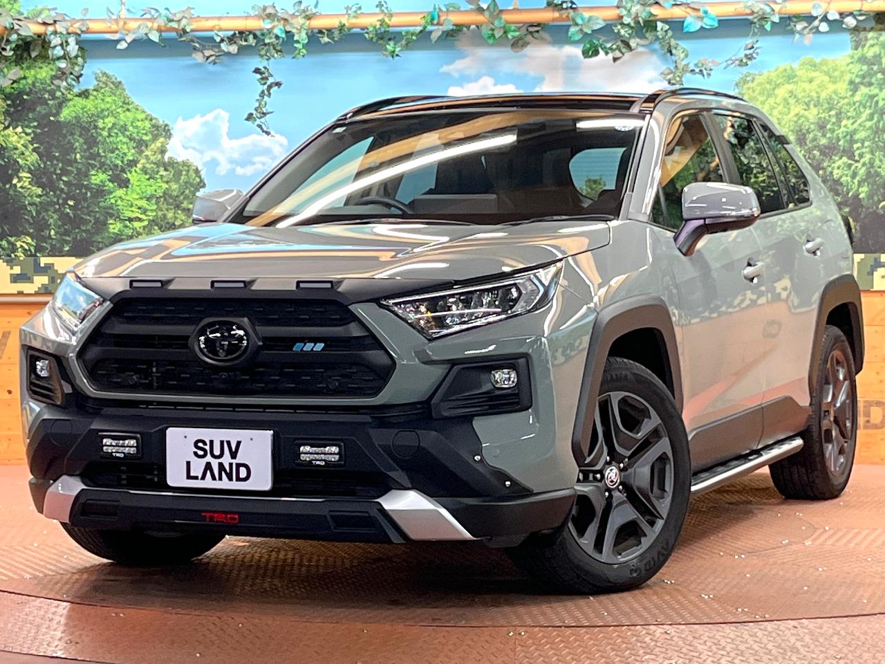 2025 Toyota RAV4 5D Adventure