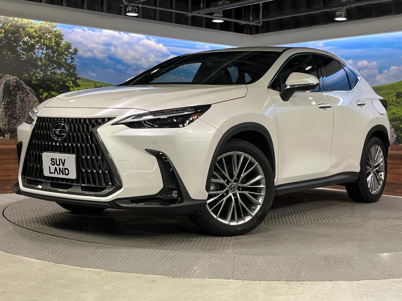 2022 Lexus NX NX250 Version L