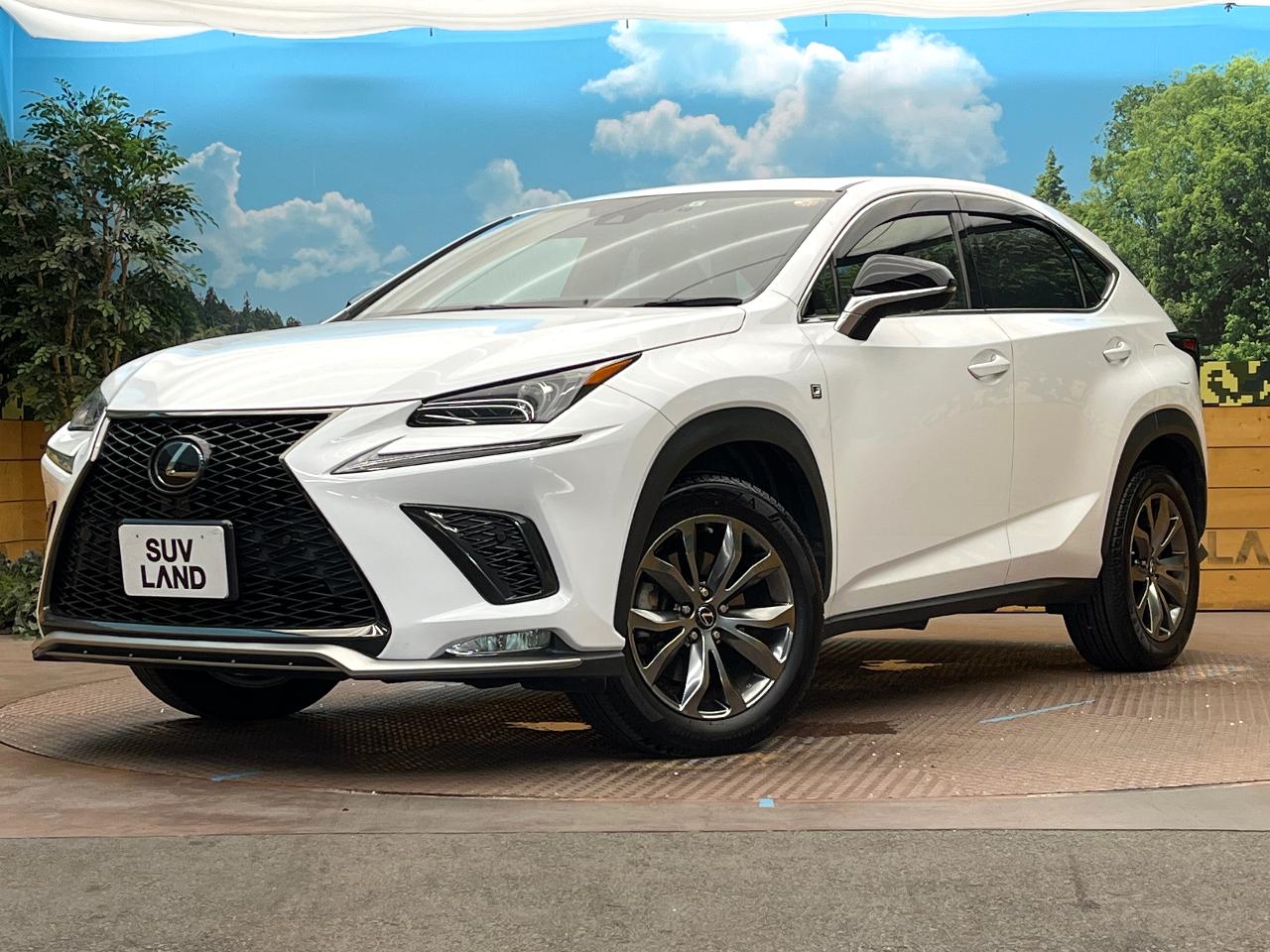 2019 Lexus NX NX300 F Sport