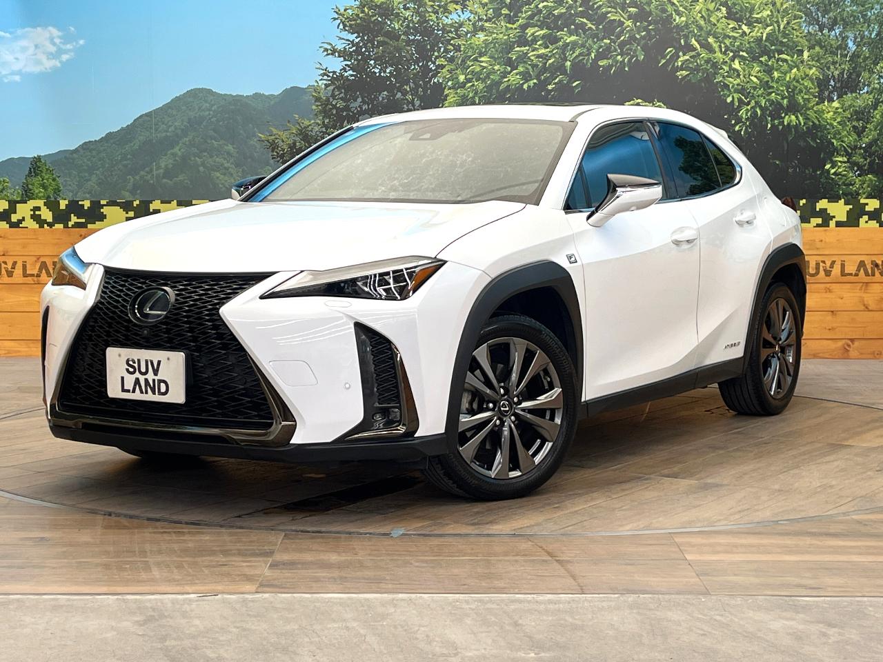 2020 Lexus UX Hybrid UX250h F SPORT