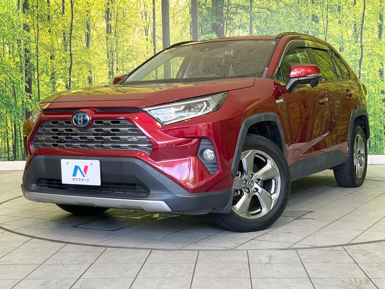 2019 Toyota RAV4 Hybrid Hybrid G