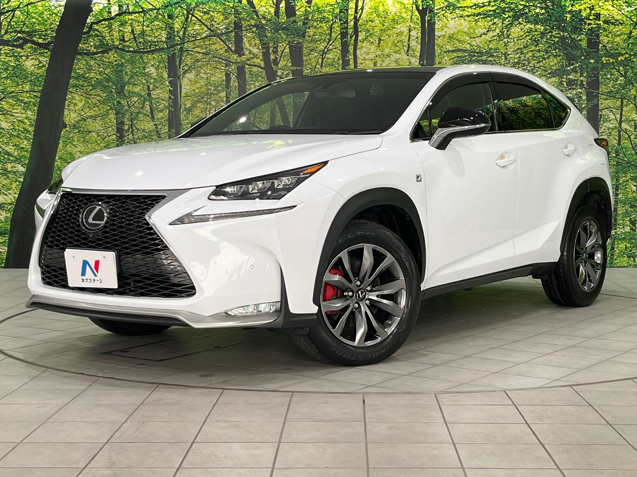 2016 Lexus NX NX200t F SPORT