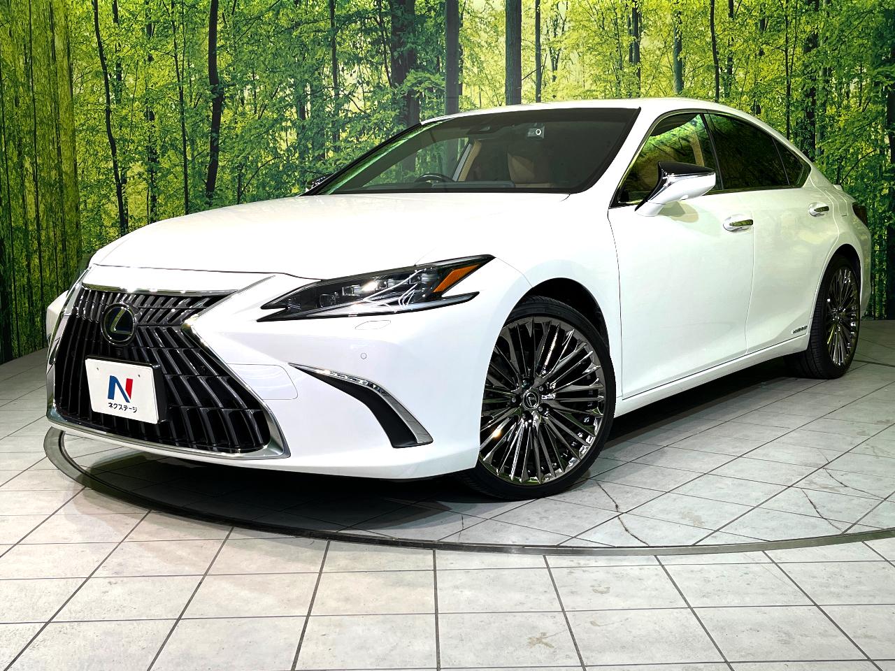 2022 Lexus ES ES300h Version L