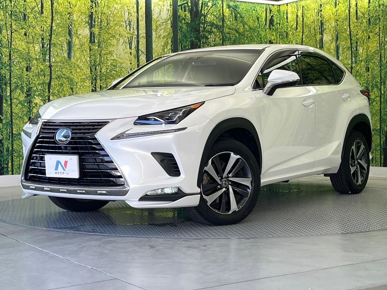 2018 Lexus NX NX300i Package