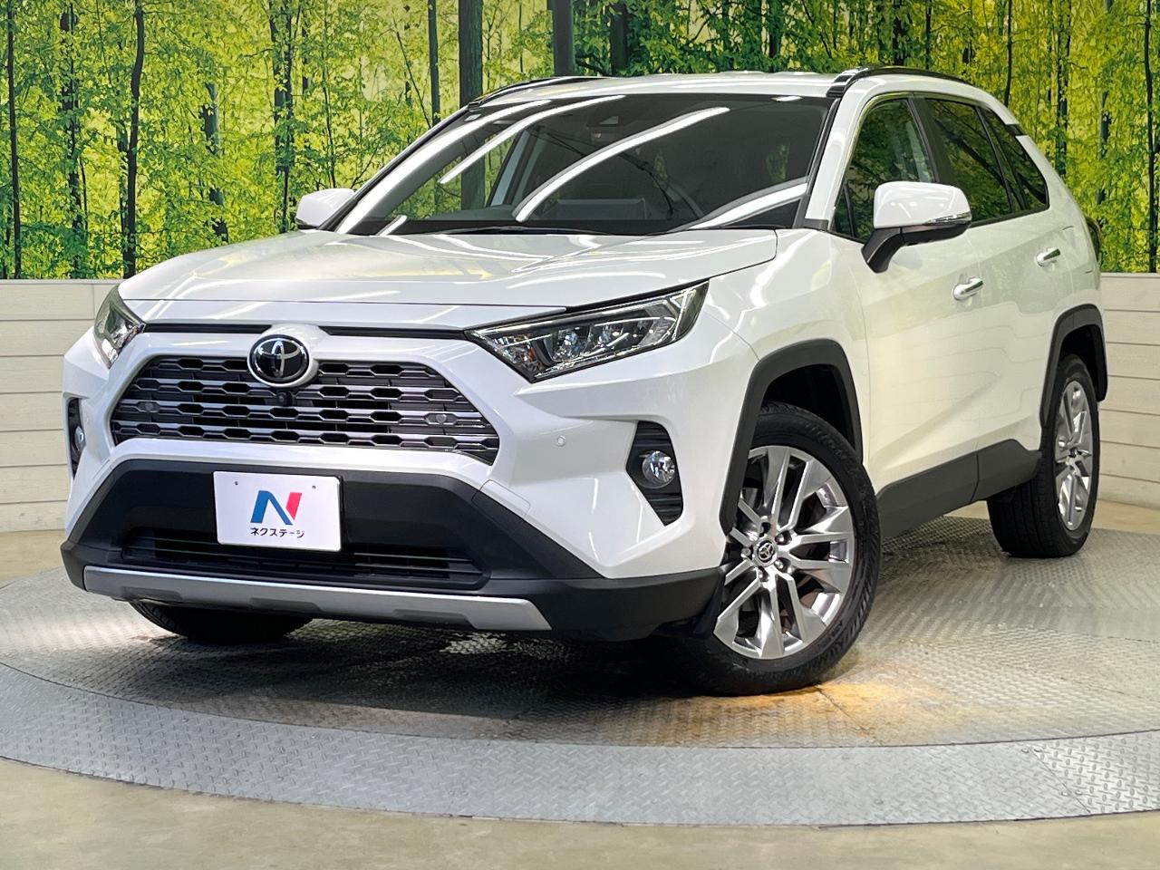 2021 Toyota RAV4 5D G Z Package