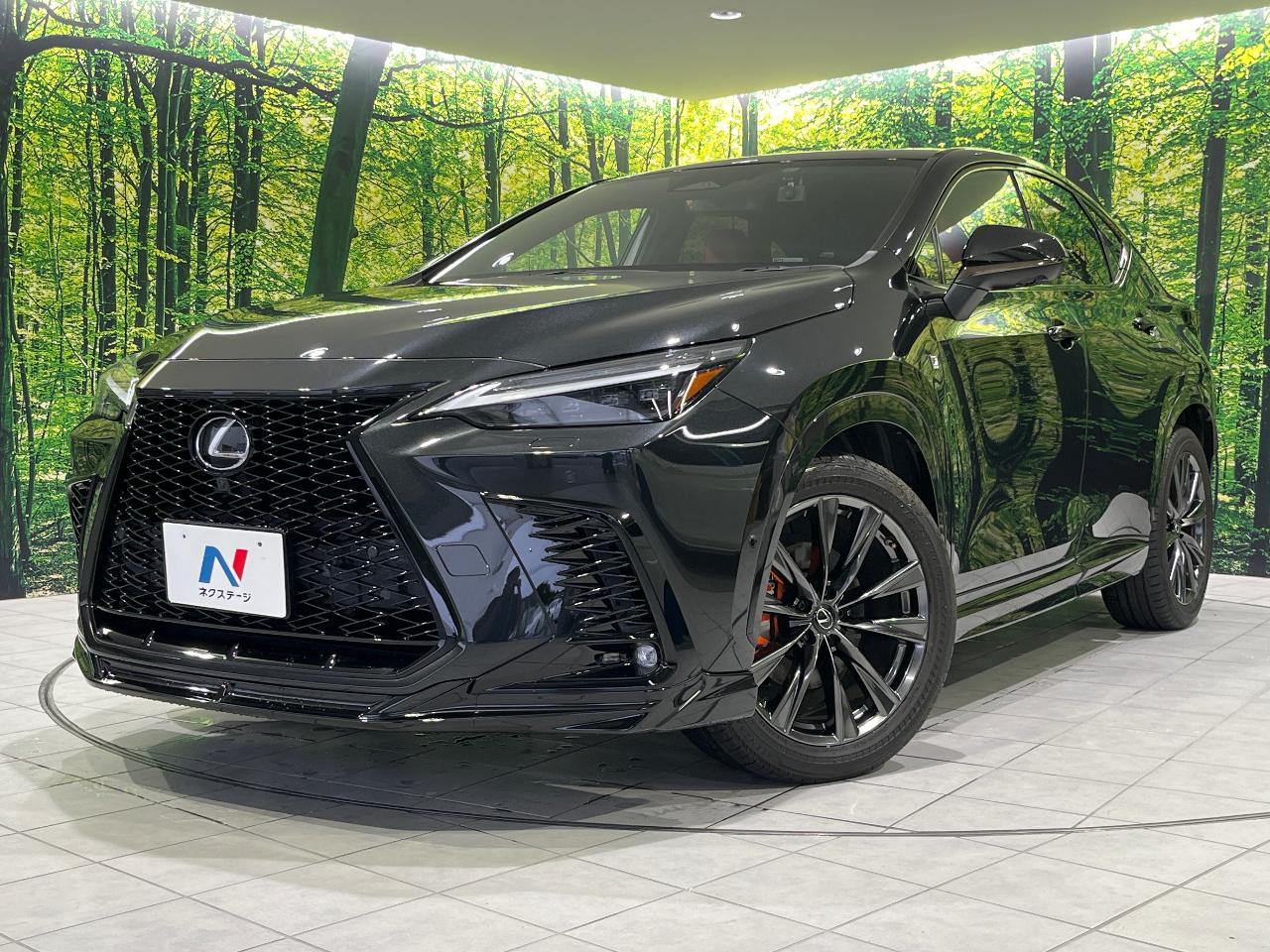 2022 Lexus NX Hybrid NX350h F Sport