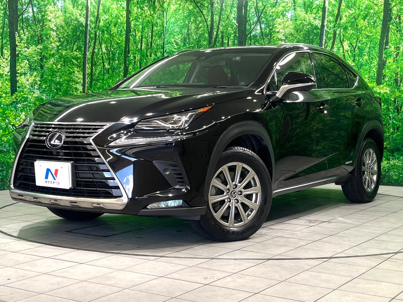 2017 Lexus NX Hybrid NX300h I Package