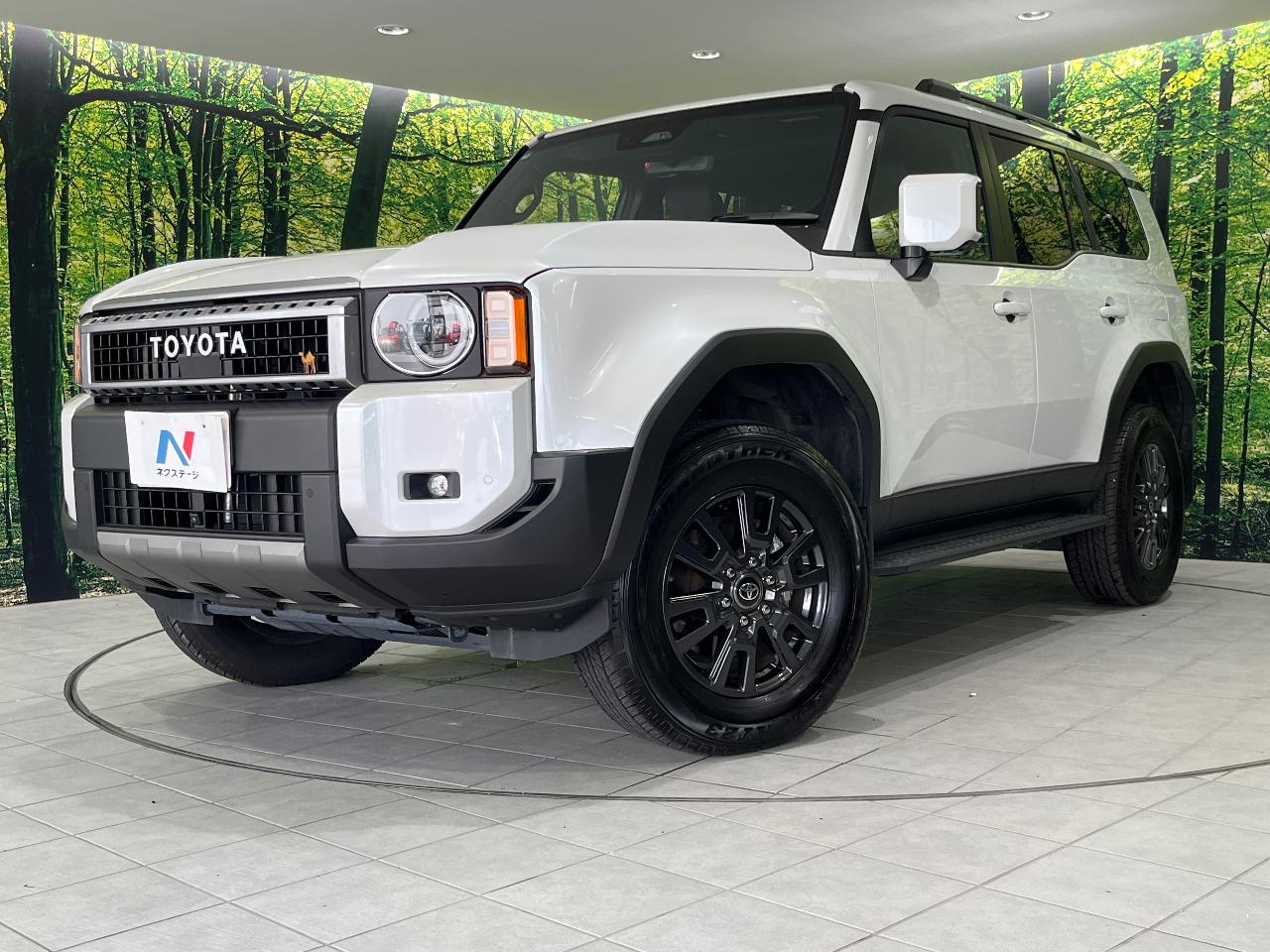 2024 Toyota LandCruiser 250 VX
