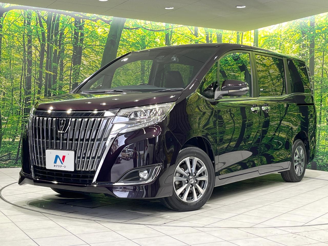 2019 Toyota Esquire Gi Premium Package