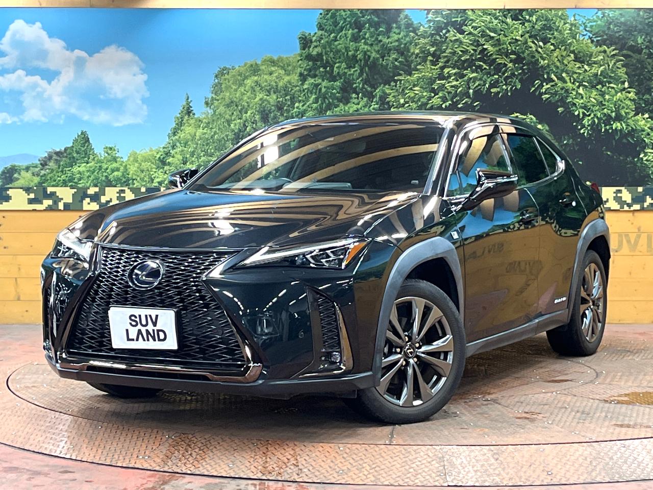 2021 Lexus UX Hybrid UX250h F SPORT