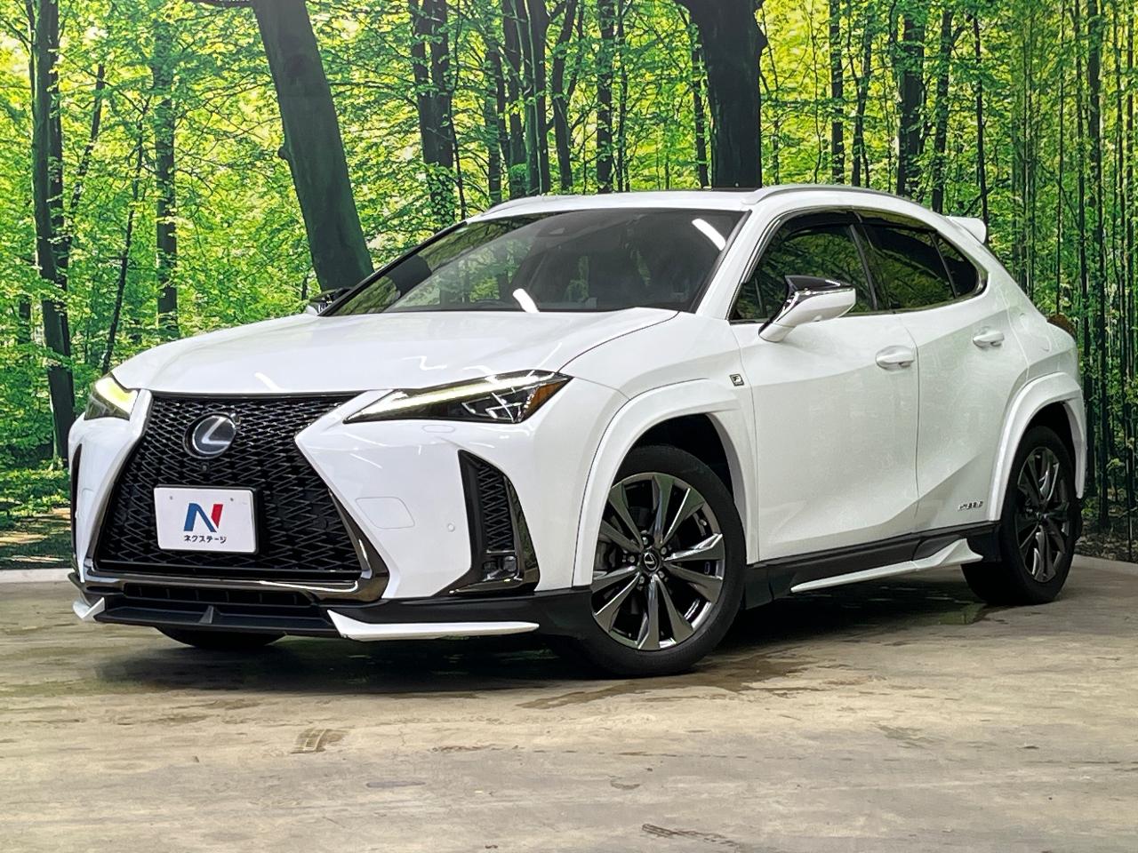2019 Lexus UX Hybrid UX250h F SPORT