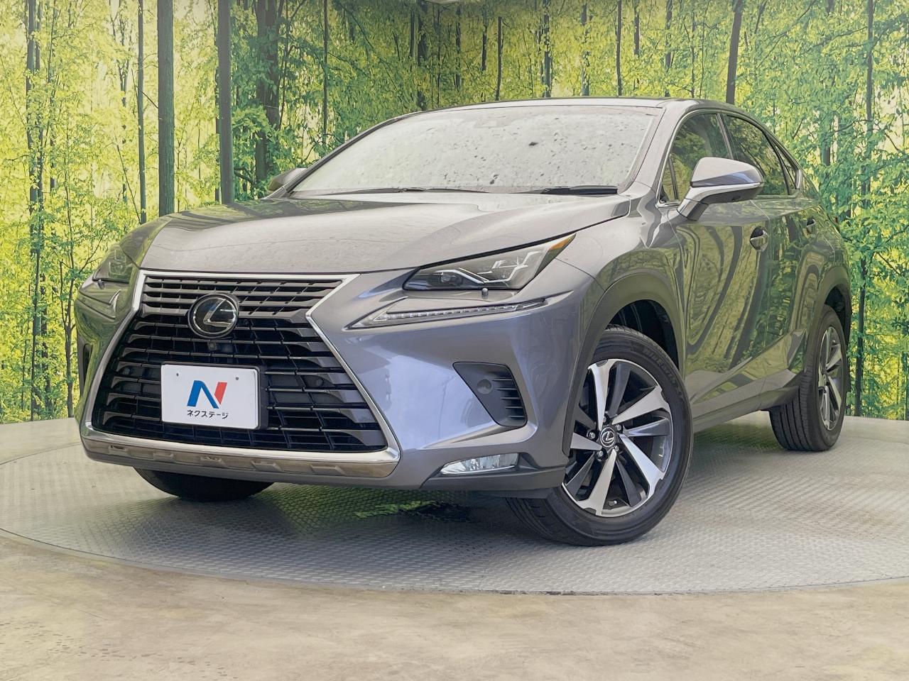 2018 Lexus NX NX300i Package