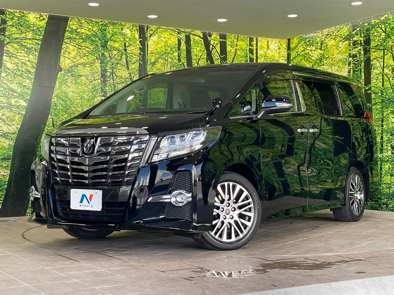 2015 Toyota Alphard 2.5S C Package